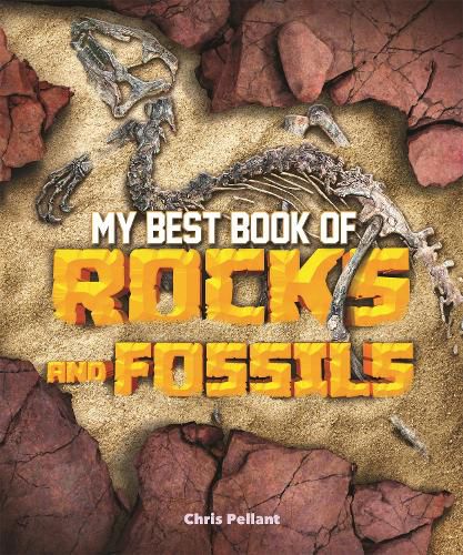 Cover image for My Best Book of Rocks and Fossils