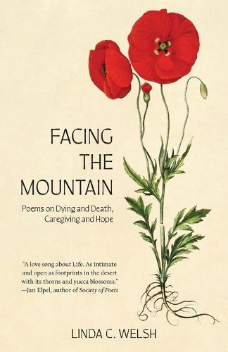 Cover image for Facing the Mountain