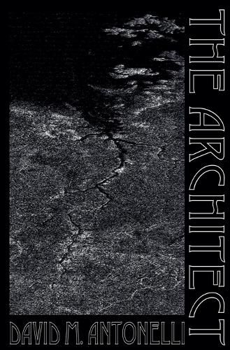 Cover image for The Architect