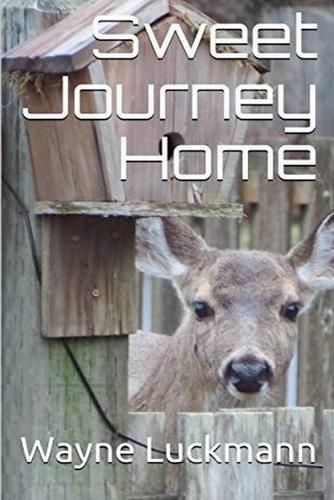 Cover image for Sweet Journey Home