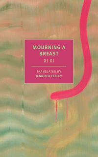 Cover image for Mourning a Breast