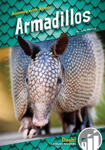 Cover image for Armadillos