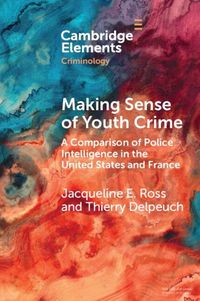 Cover image for Making Sense of Youth Crime