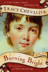 Cover image for Burning Bright: A Novel