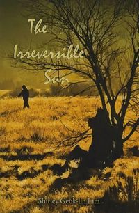 Cover image for The Irreversible Sun