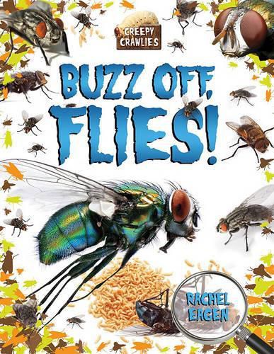 Cover image for Buzz Off, Flies!