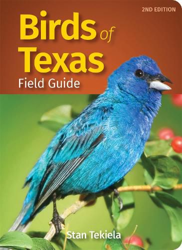 Cover image for Birds of Texas Field Guide