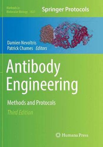 Cover image for Antibody Engineering: Methods and Protocols