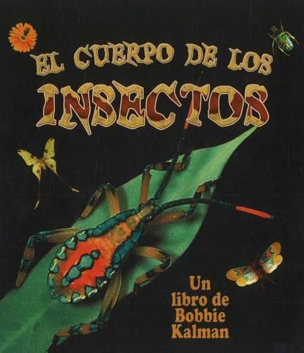 El Cuerpo de Los Insectos (Insect Bodies)