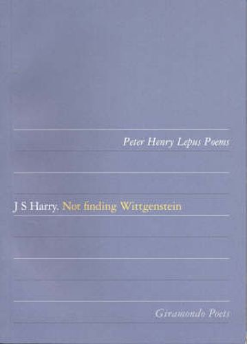 Cover image for Not Finding Wittgenstein