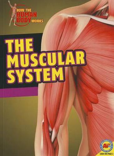 Cover image for The Muscular System