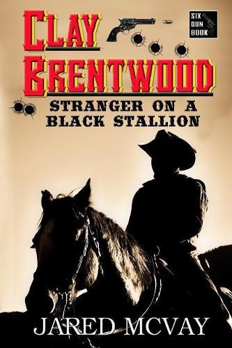 Cover image for Stranger on a Black Stallion