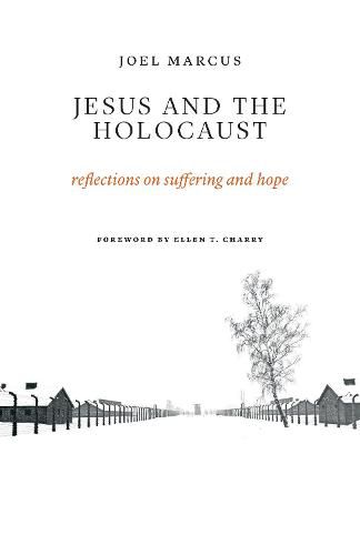 Cover image for Jesus and the Holocaust: Reflections on Suffering and Hope