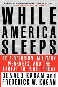 Cover image for While America Sleeps