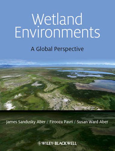 Cover image for Wetland Environments: A Global Perspective