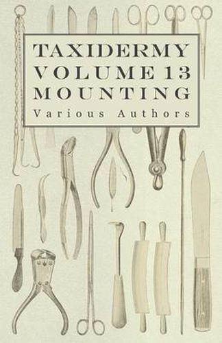 Cover image for Taxidermy Vol.13 Mounting - An Instructional Guide to the Methods of Mounting Mammals, Birds and Reptiles