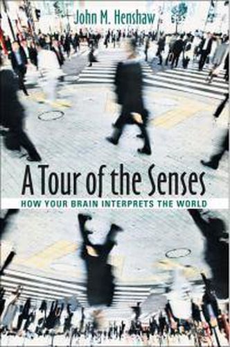 Cover image for A Tour of the Senses: How Your Brain Interprets the World