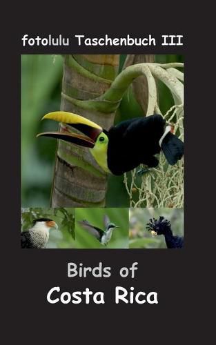 Cover image for Birds of Costa Rica: fotolulu Taschenbuch III