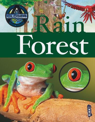 Cover image for Rain Forest