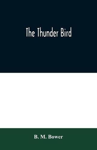 Cover image for The Thunder Bird