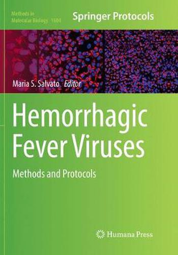 Cover image for Hemorrhagic Fever Viruses: Methods and Protocols