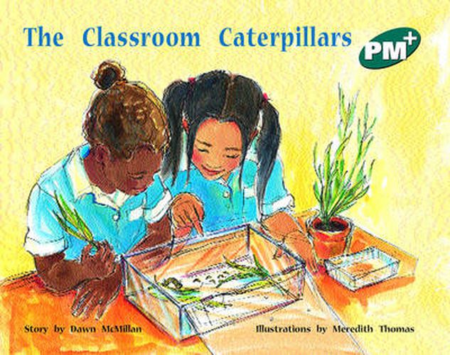 Cover image for The Classroom Caterpillars