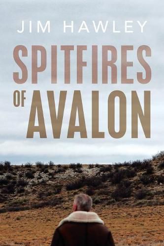 Cover image for Spitfires of Avalon