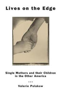 Cover image for Lives on the Edge: Single Mothers and Their Children in the Other America