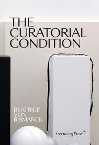 Cover image for The Curatorial Condition