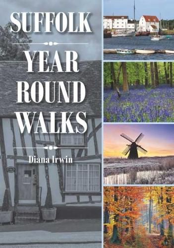 Cover image for Suffolk Year Round Walks