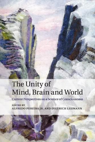 Cover image for The Unity of Mind, Brain and World: Current Perspectives on a Science of Consciousness