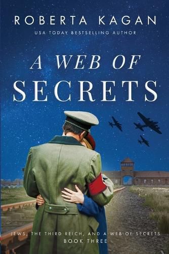Cover image for A Web of Secrets