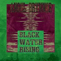 Cover image for Blackwater Rising