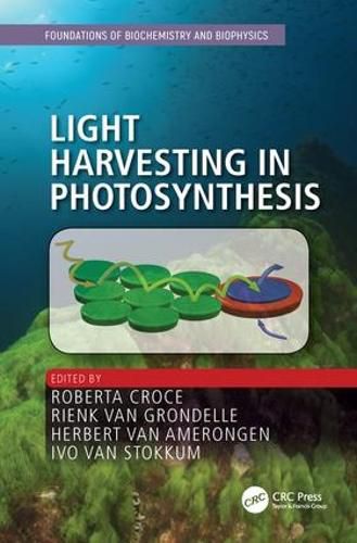 Cover image for Light Harvesting in Photosynthesis