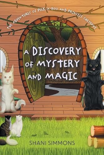 Cover image for A Discovery of Mystery and Magic