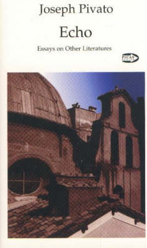 Cover image for Echo: Essays on Other Literatures