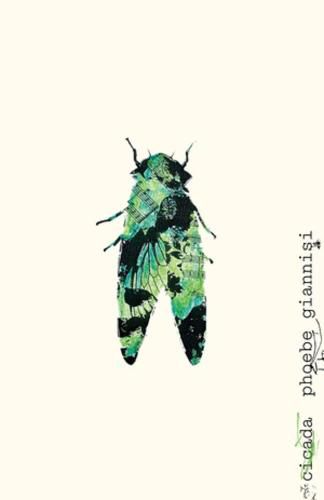 Cover image for Cicada
