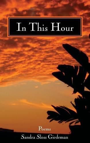 Cover image for In This Hour
