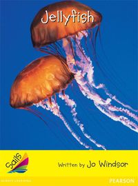 Cover image for Sails Early Yellow Set 2: Jellyfish