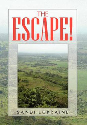 Cover image for The Escape!