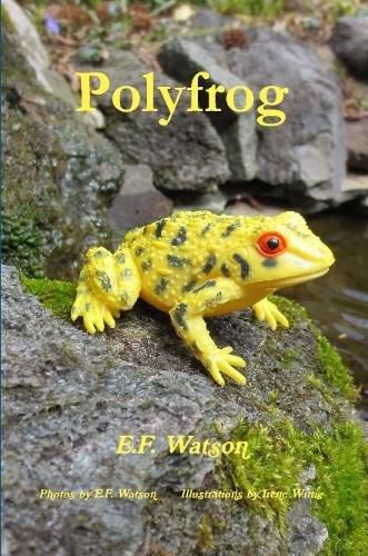 Cover image for Polyfrog