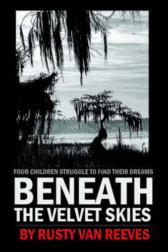 Cover image for Beneath the Velvet Skies