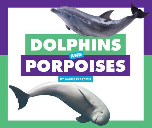 Dolphins and Porpoises