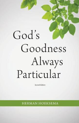 Cover image for God's Goodness Always Particular
