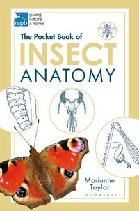 Cover image for The Pocket Book of Insect Anatomy