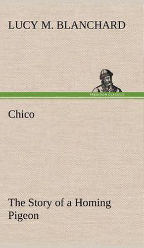 Cover image for Chico: the Story of a Homing Pigeon