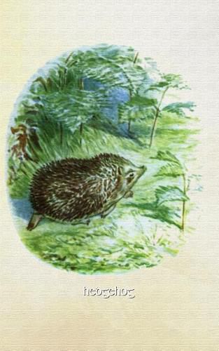 Hedgehog: 5x8 Journal Notebook