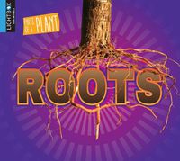 Cover image for Roots