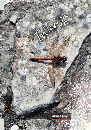 Cover image for Intents