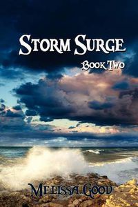 Cover image for Storm Surge - Book Two